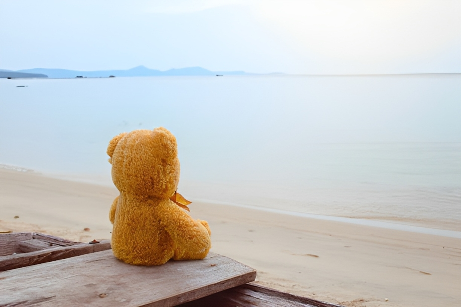 Can I Take Plushies To The Beach?