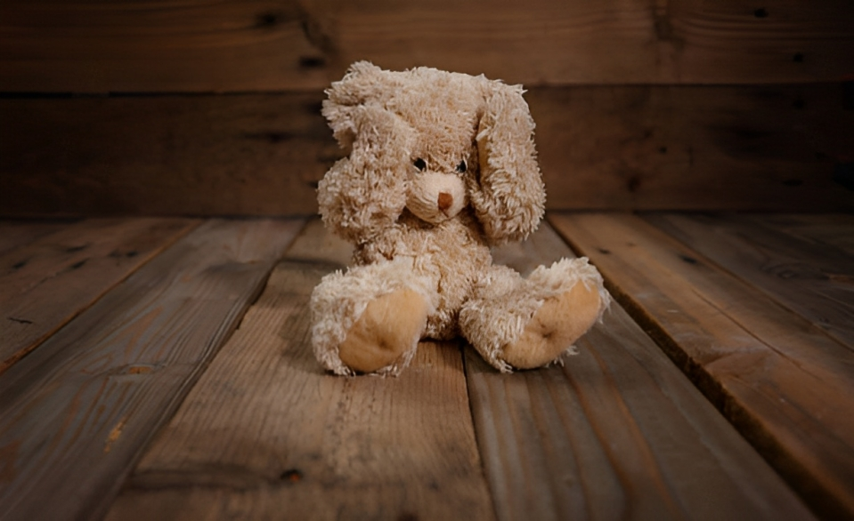 Do Plushies Have Feelings? Exploring Our Emotional Bonds with Plushies
