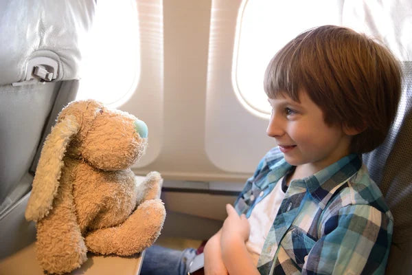 Essential Tips for Flying with Plushies