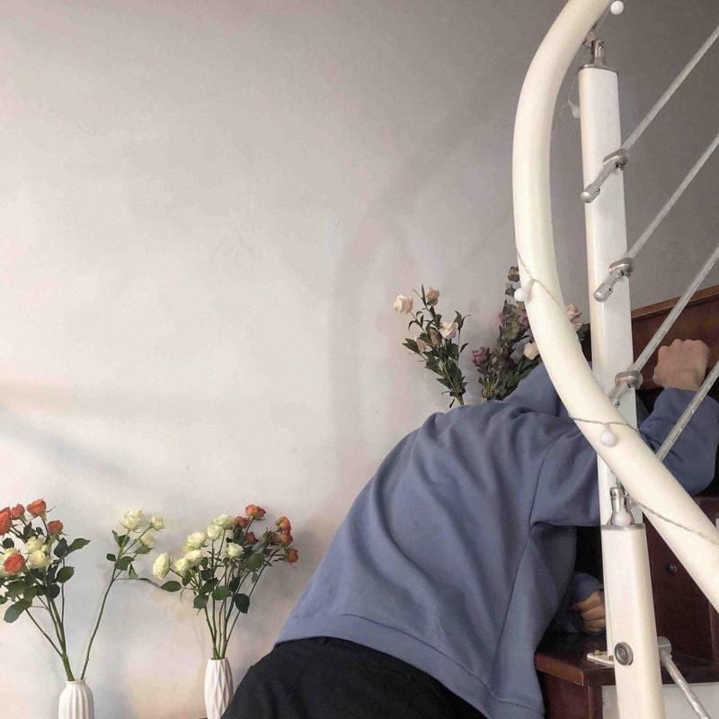 Arlong The Kawaii Shark Hoodie