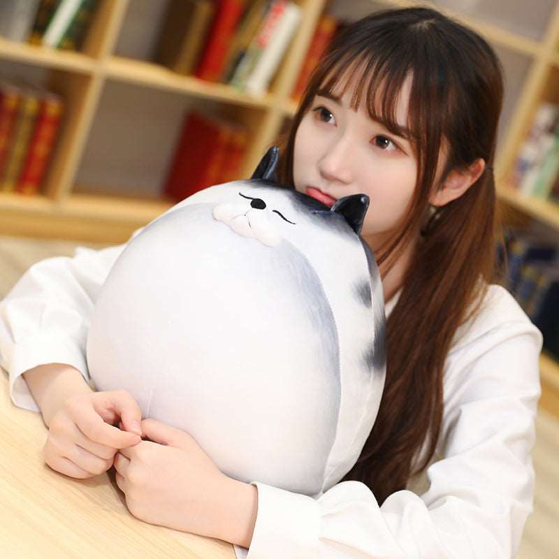 Kawaii Chunky Cat Plushies Wakaii