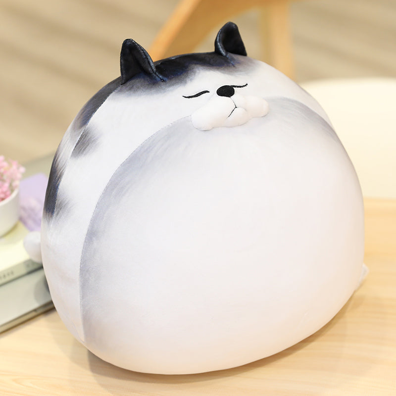 Kawaii Chunky Cat Plushies Wakaii