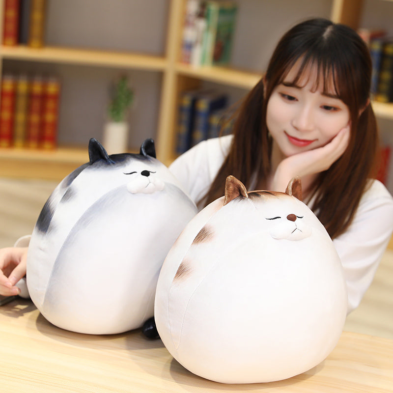Kawaii Chunky Cat Plushies Wakaii