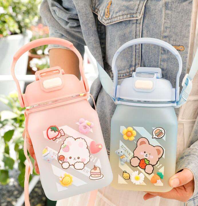Kawaii Frosted Water Bottles Wakaii