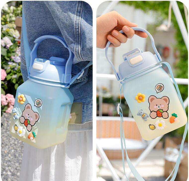 Kawaii Frosted Water Bottles Wakaii