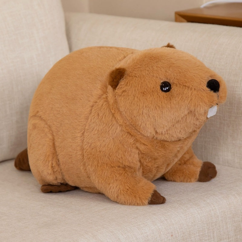 Kawaii Guinea Pig Plushies Duo Wakaii