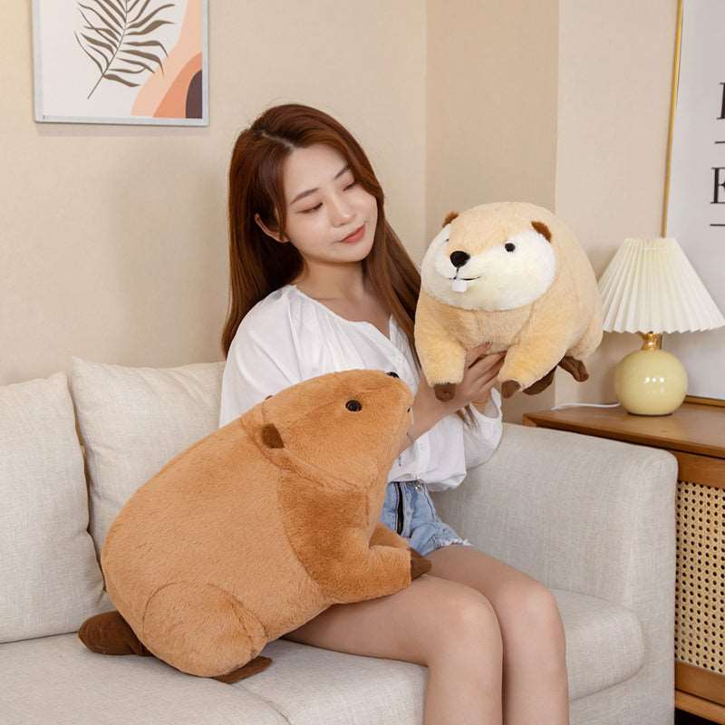 Kawaii Guinea Pig Plushies Duo