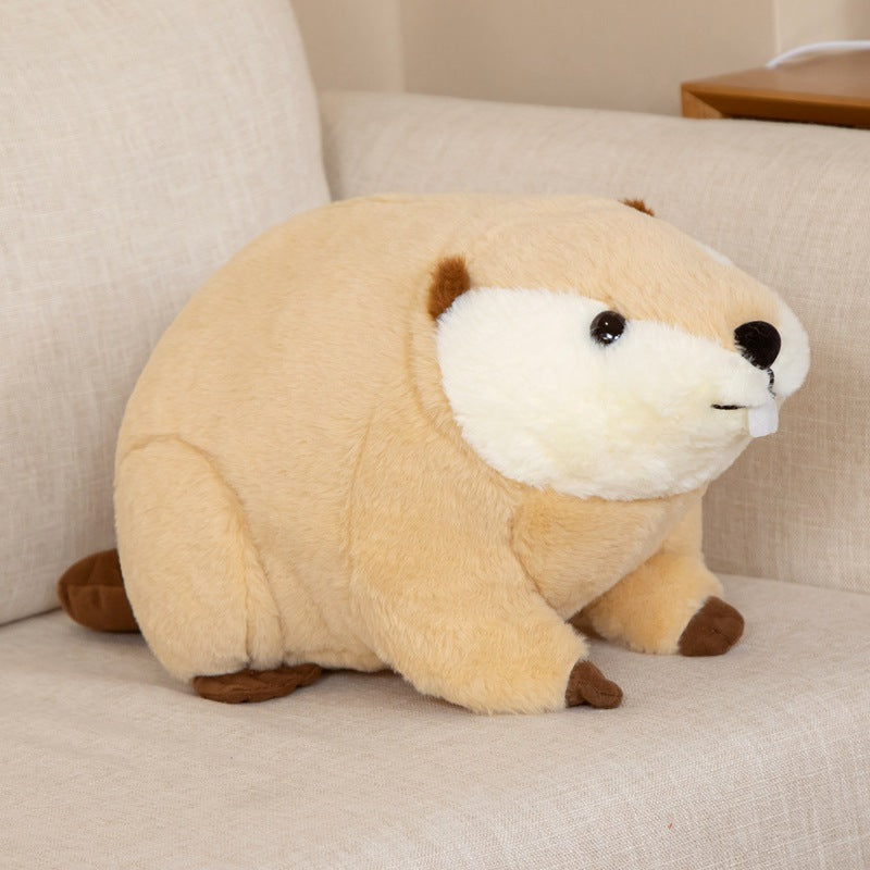 Kawaii Guinea Pig Plushies Duo Wakaii