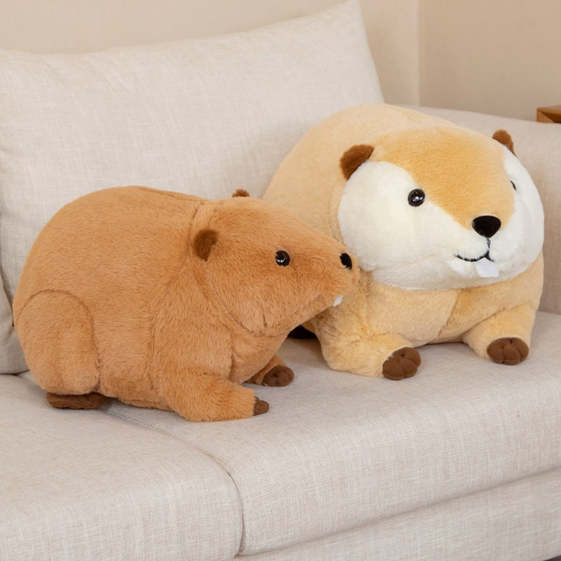 Kawaii Guinea Pig Plushies Duo Wakaii