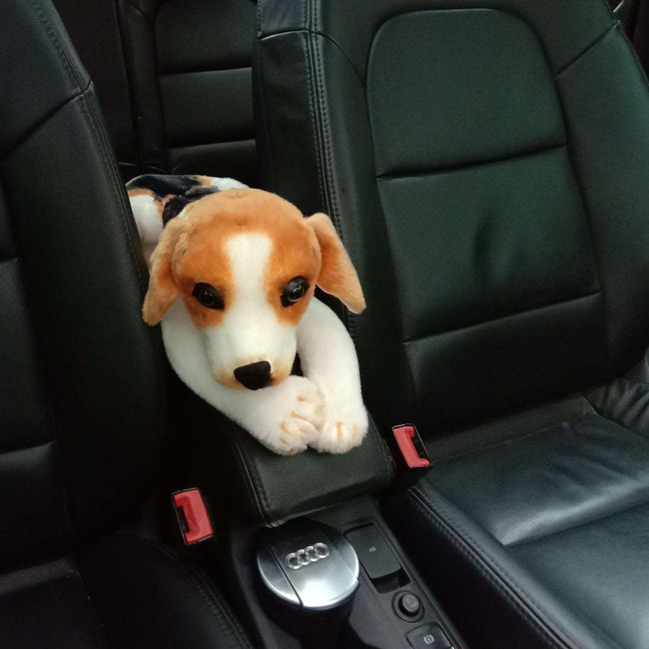 Kawaii Wildlife Tissue Boxes Wakaii