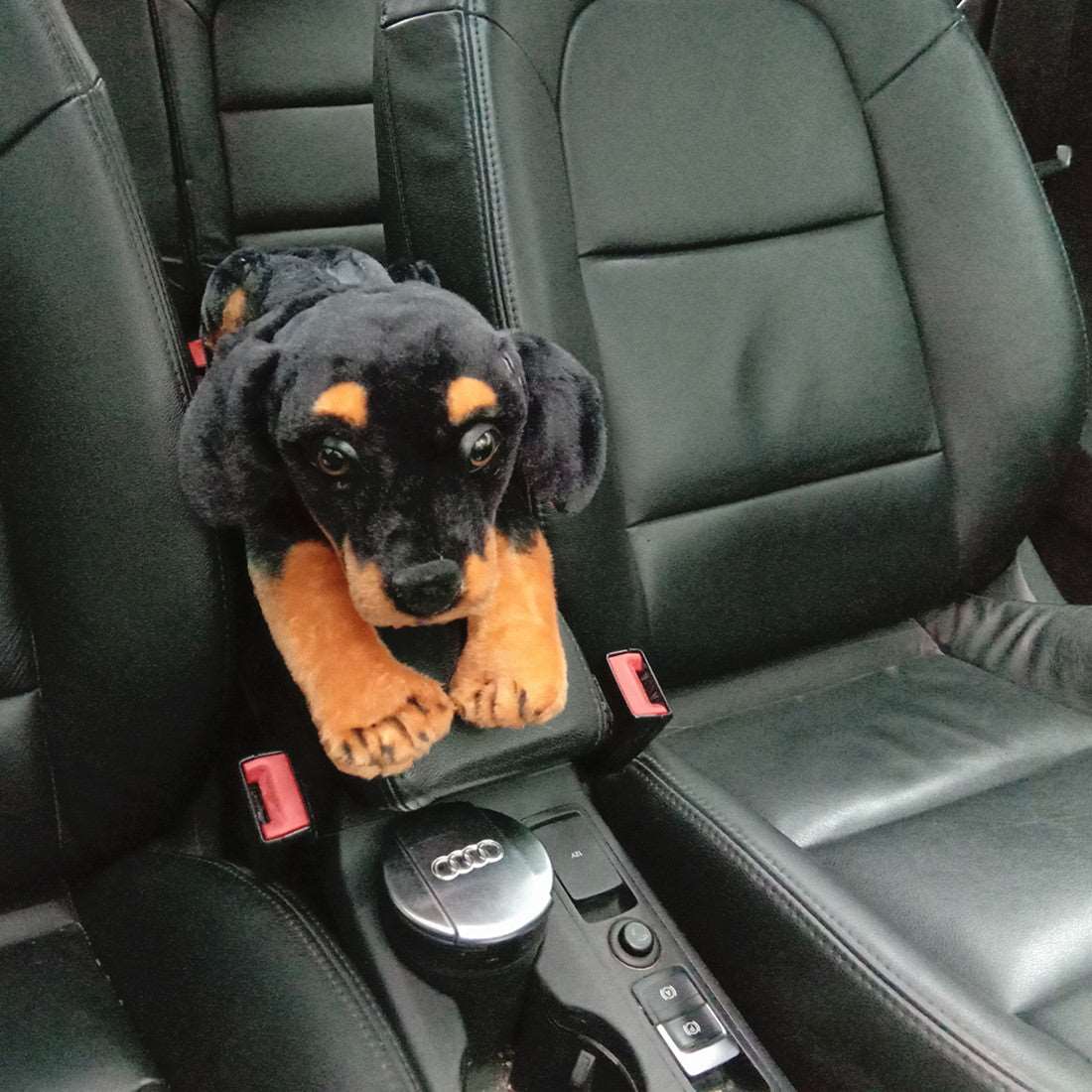 Kawaii Wildlife Tissue Boxes Wakaii