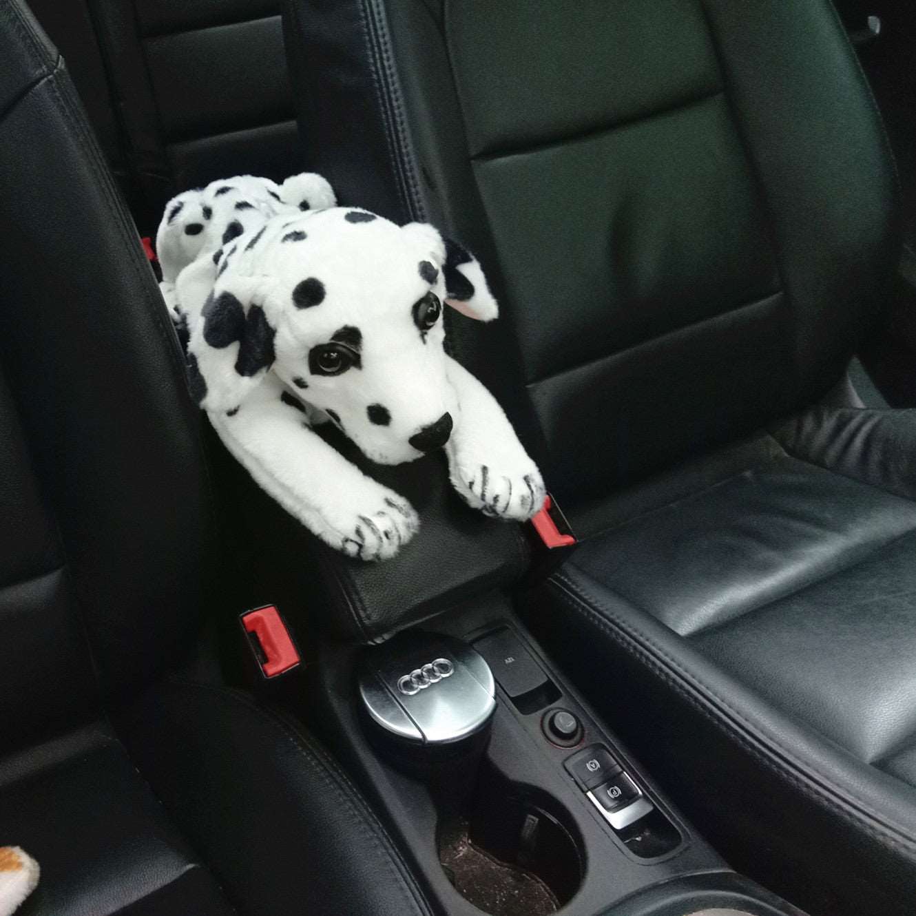 Kawaii Wildlife Tissue Boxes Wakaii