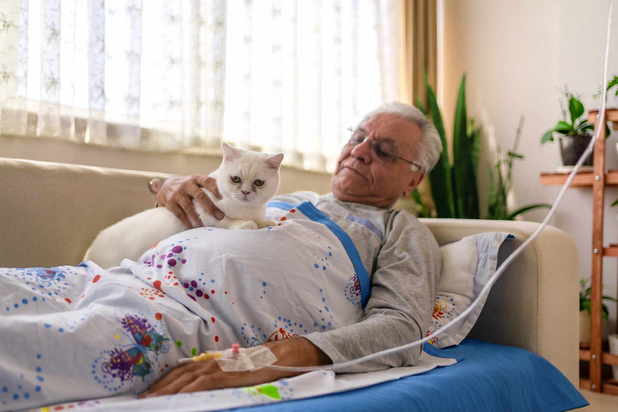 Plushies for Dementia Patients: A Guide to Therapeutic Benefits