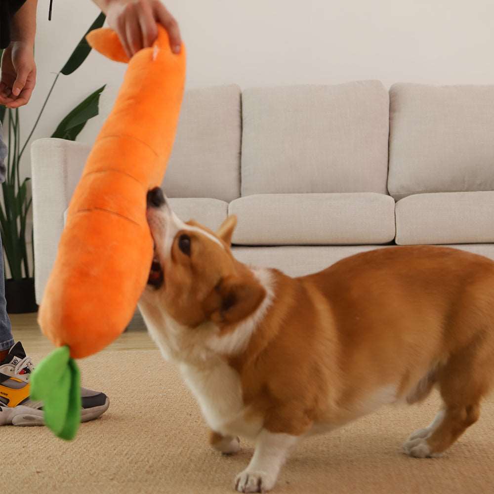 Kawaii Carrot Dog Toy Wakaii