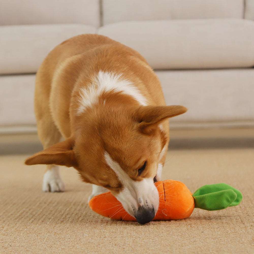 Kawaii Carrot Dog Toy Wakaii