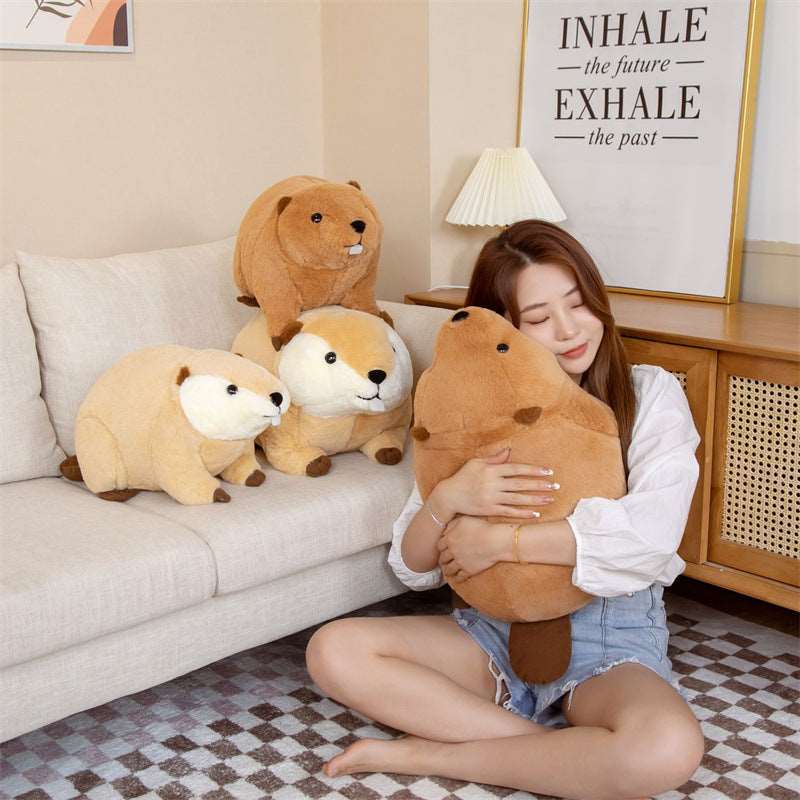Kawaii Guinea Pig Plushies Duo