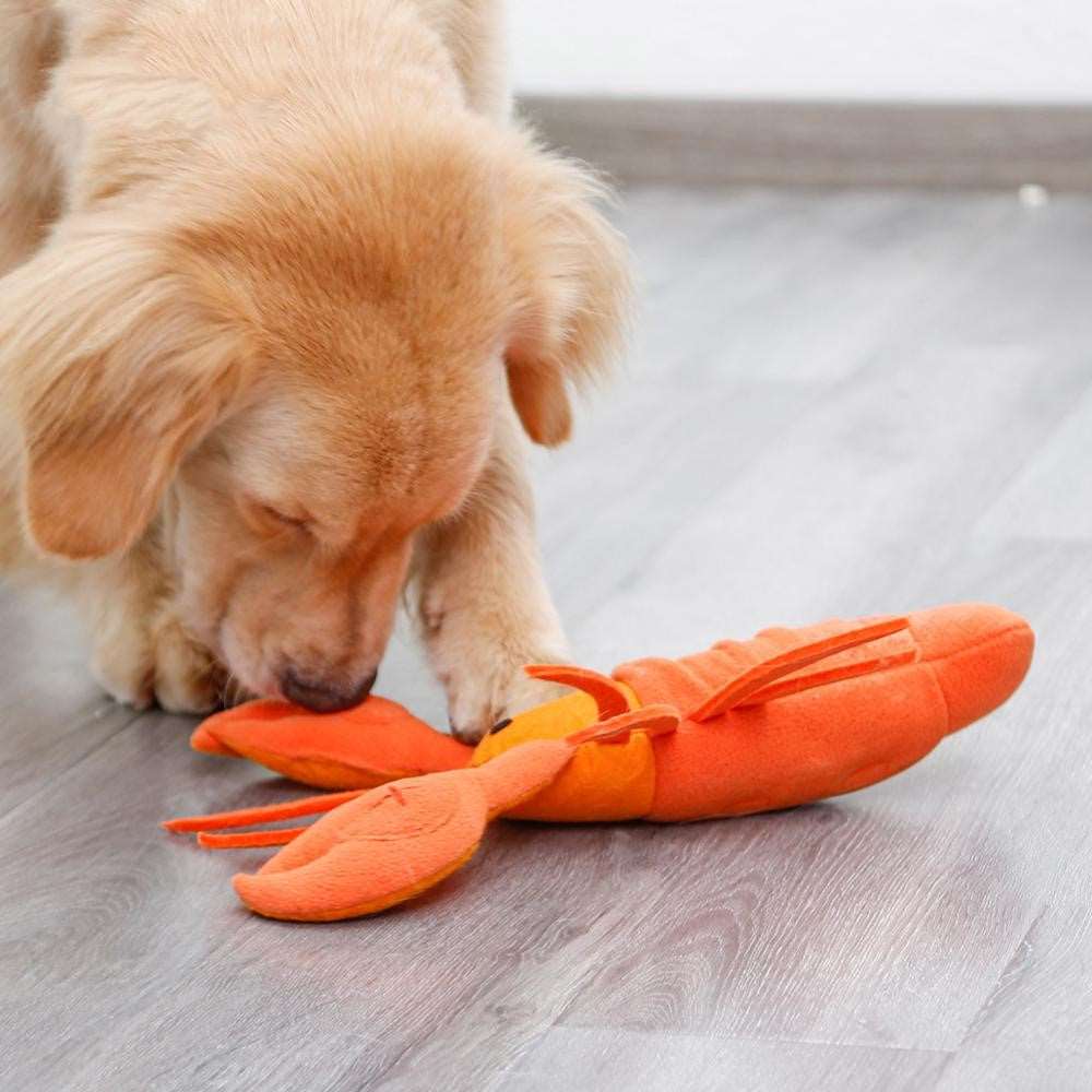 Kawaii Lobster Pet Toy Wakaii